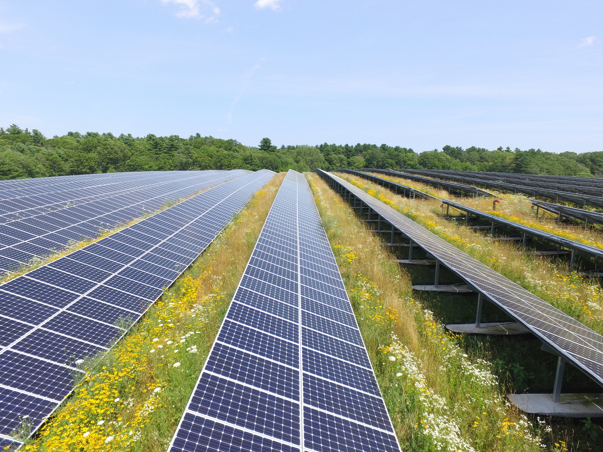 Large-scale solar farm with rows of photovoltaic panels generating clean electricity